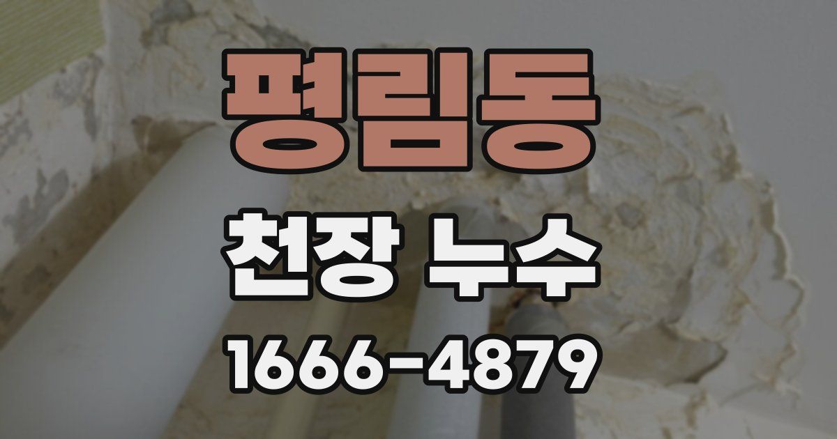 평림동 천장 누수