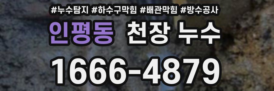 인평동 천장 누수