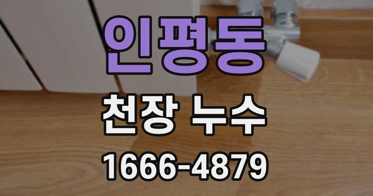 인평동 천장 누수