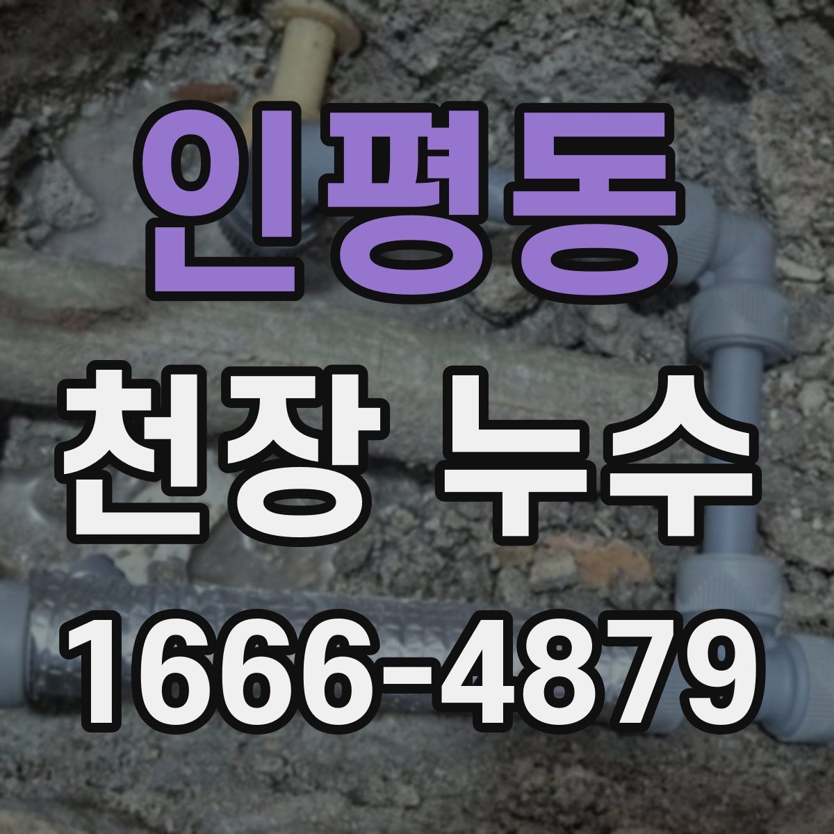 인평동 천장 누수