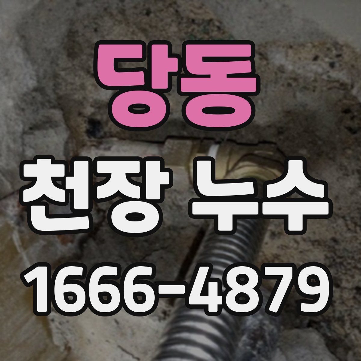 당동 천장 누수