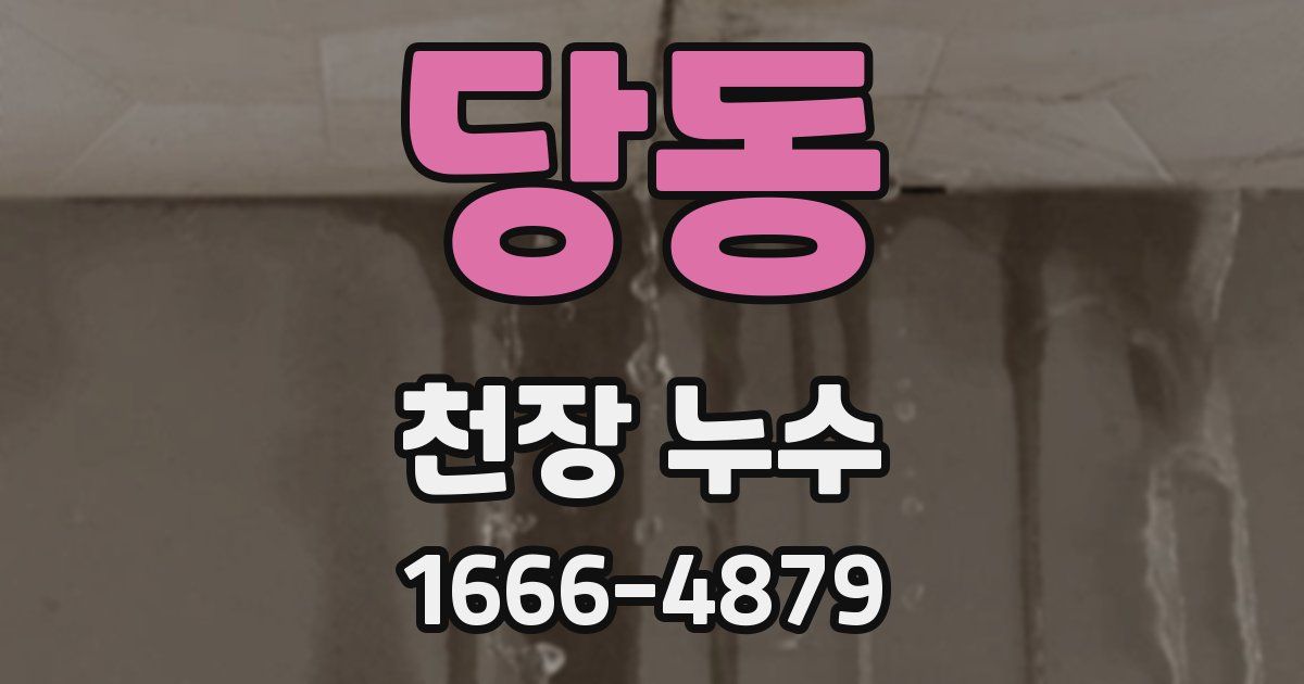 당동 천장 누수