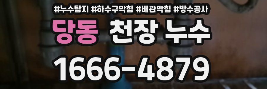 당동 천장 누수