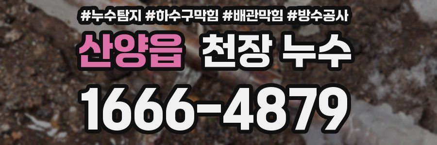 산양읍 천장 누수