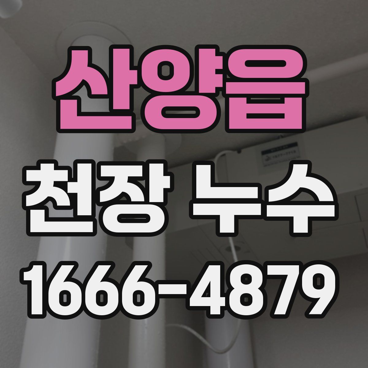 산양읍 천장 누수