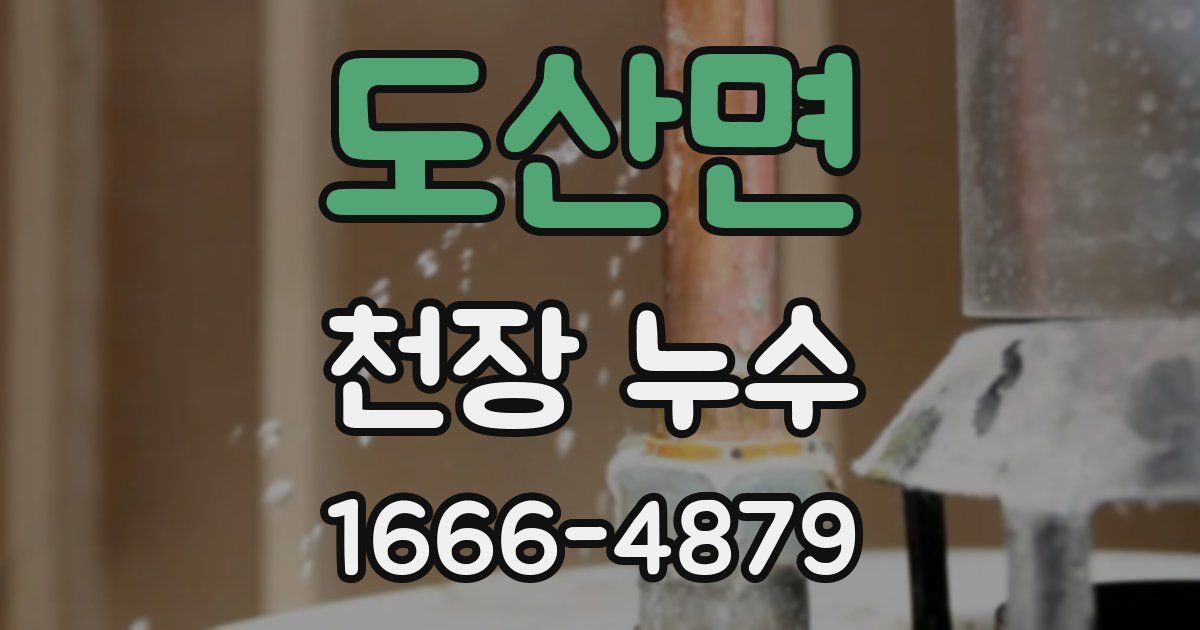 도산면 천장 누수