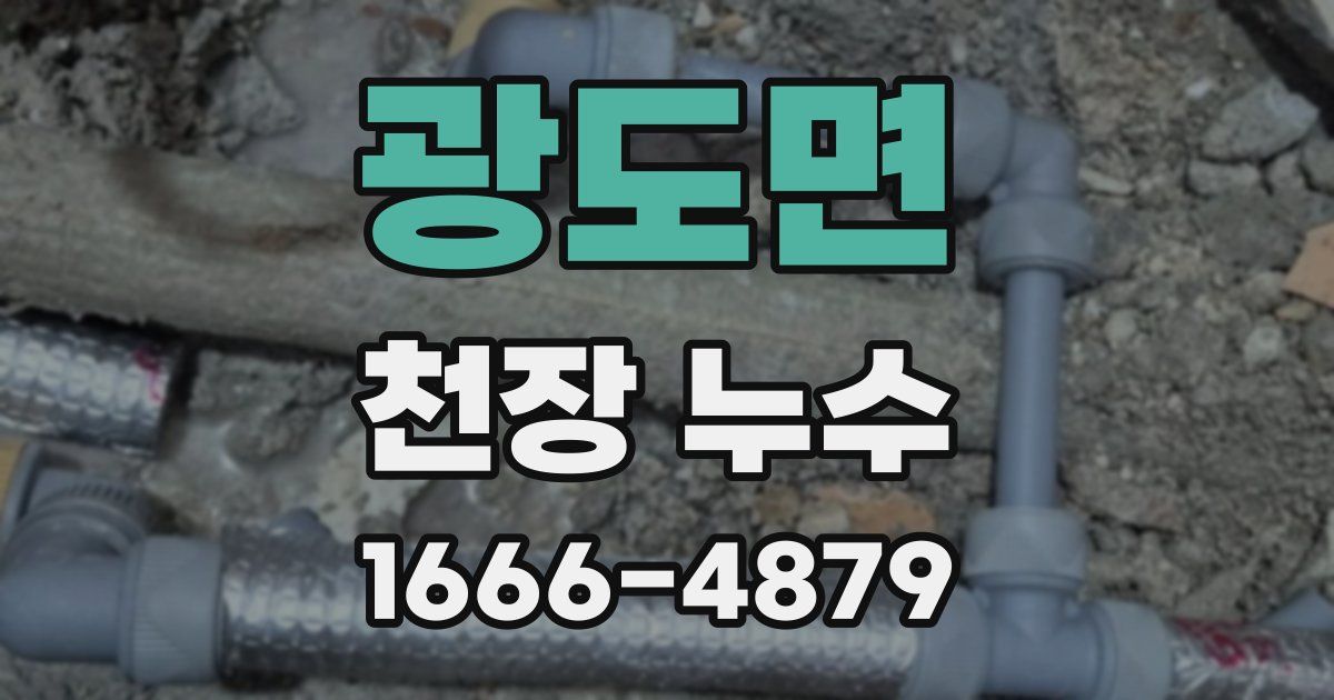 광도면 천장 누수