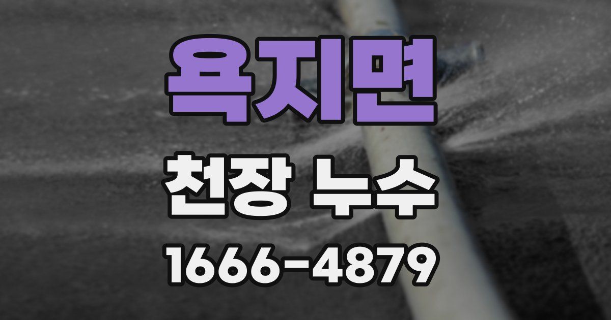 욕지면 천장 누수