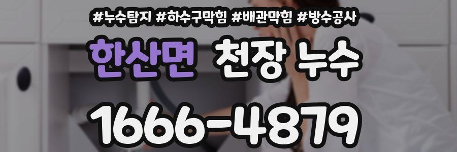 한산면 천장 누수
