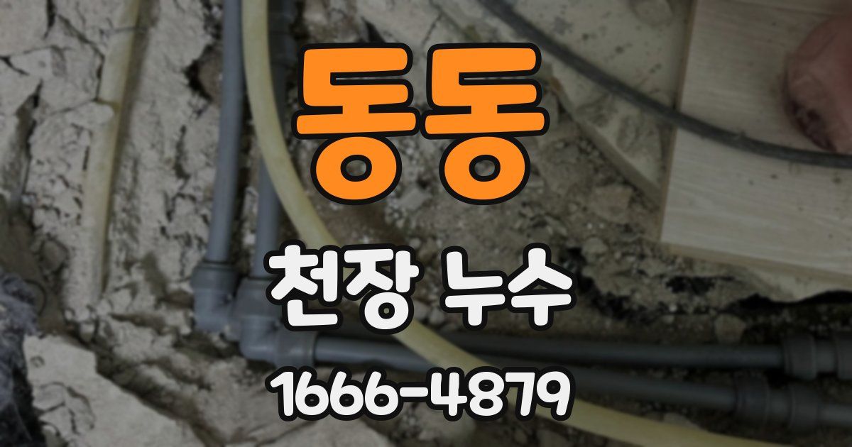 동동 천장 누수