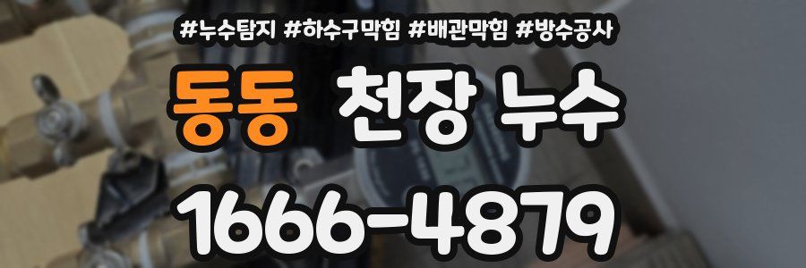 동동 천장 누수