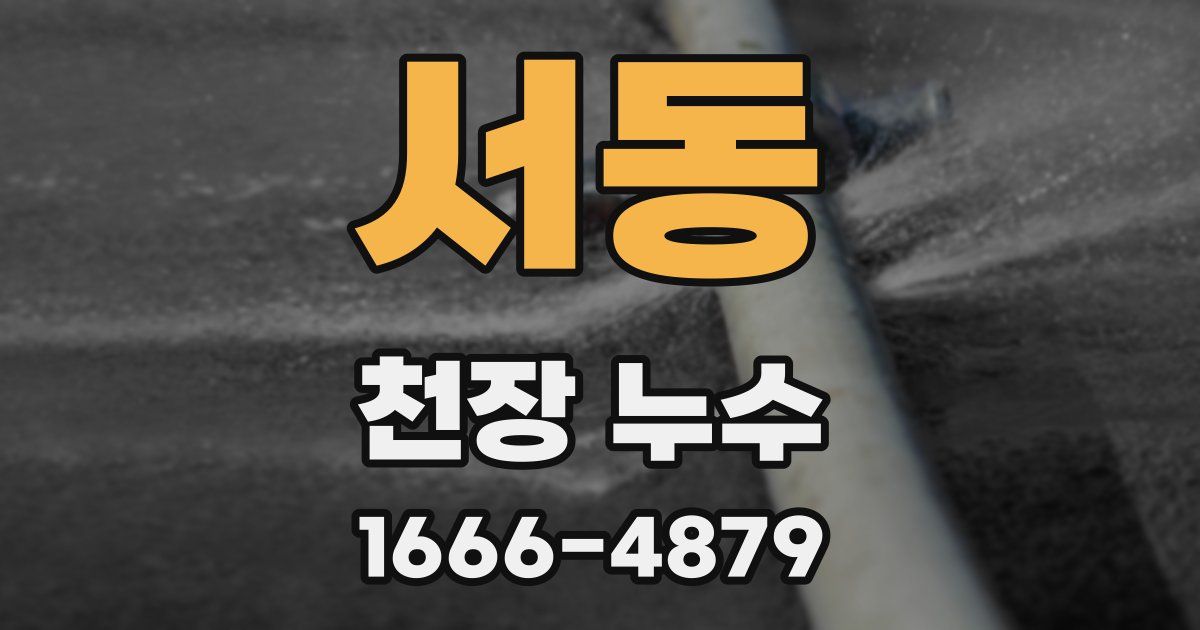 서동 천장 누수