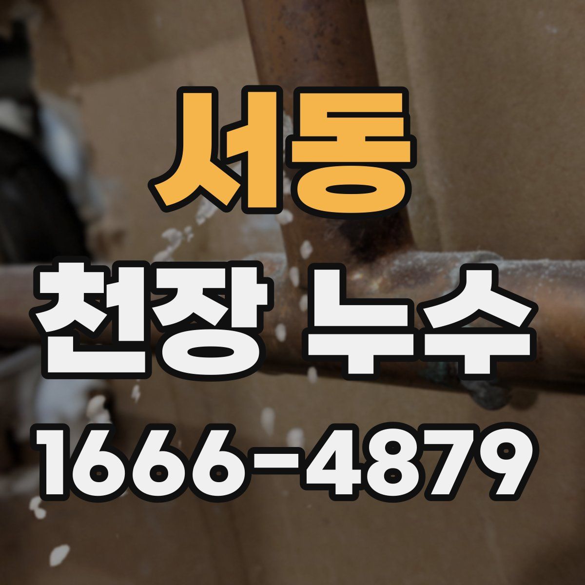 서동 천장 누수