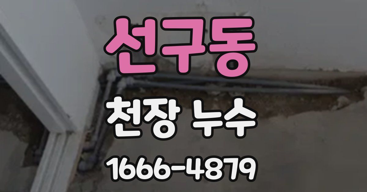 선구동 천장 누수