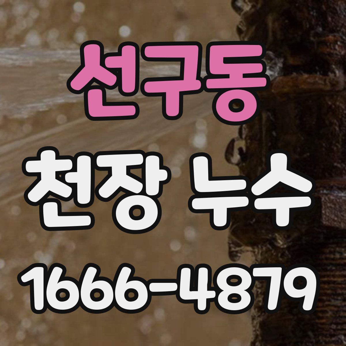 선구동 천장 누수