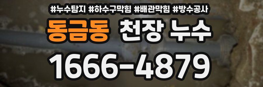 동금동 천장 누수