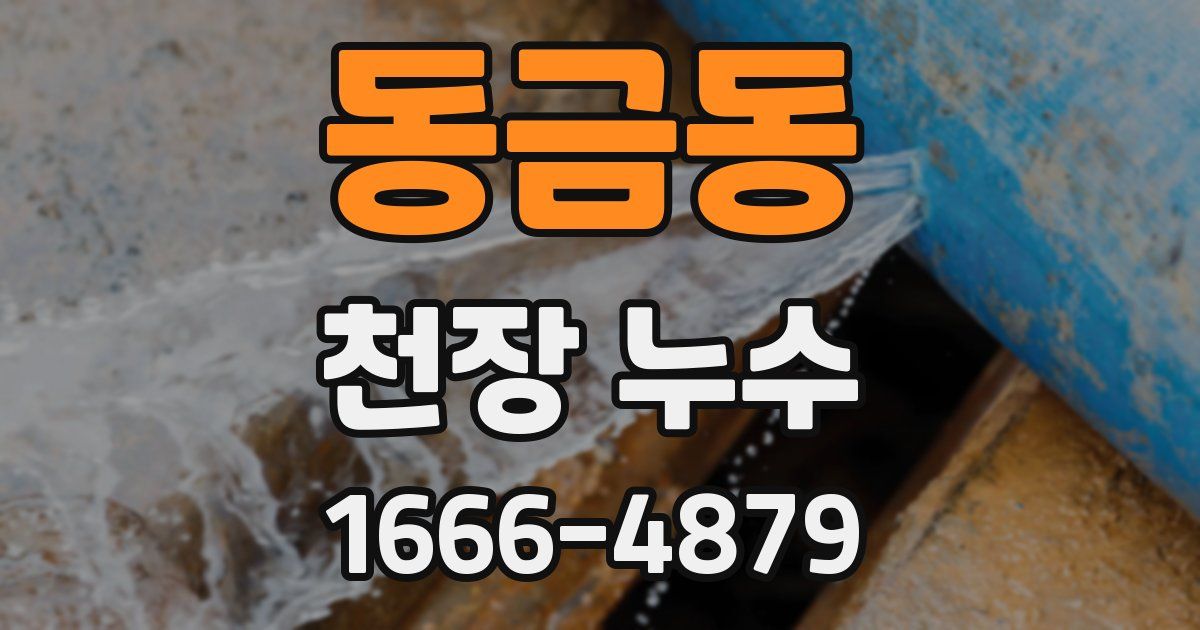 동금동 천장 누수