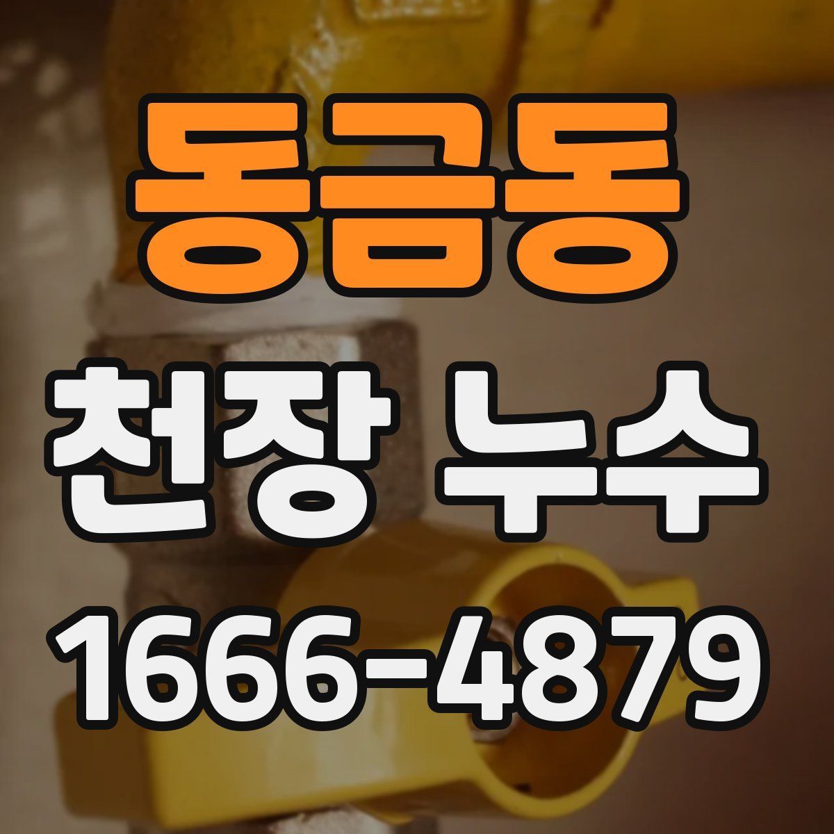 동금동 천장 누수