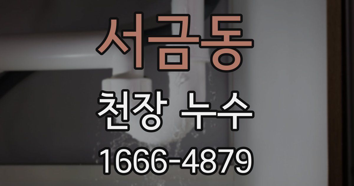 서금동 천장 누수