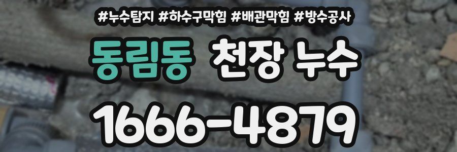 동림동 천장 누수