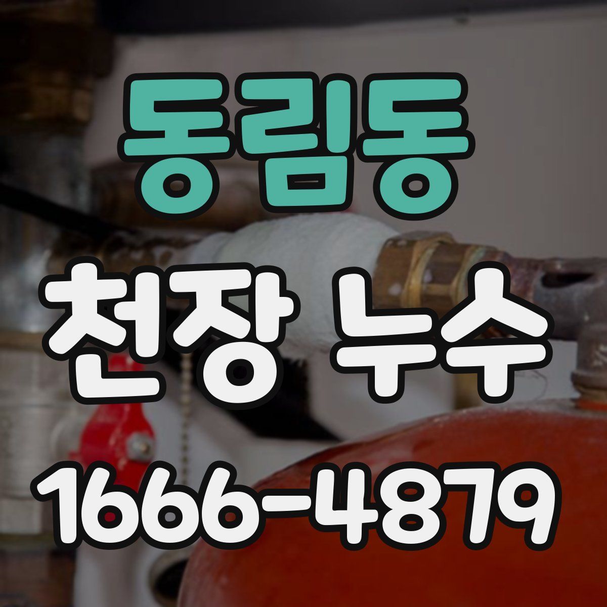 동림동 천장 누수