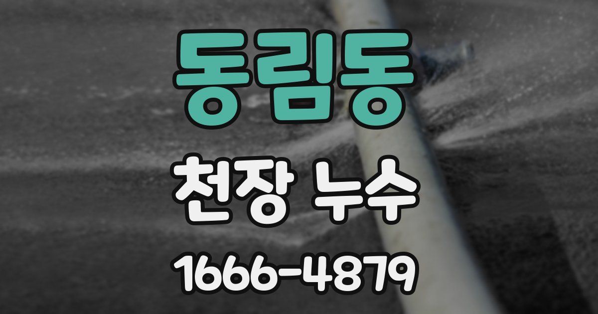 동림동 천장 누수