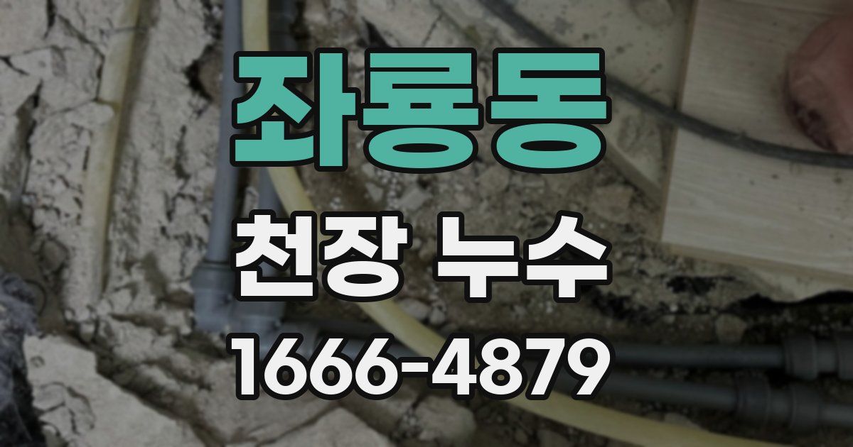 좌룡동 천장 누수