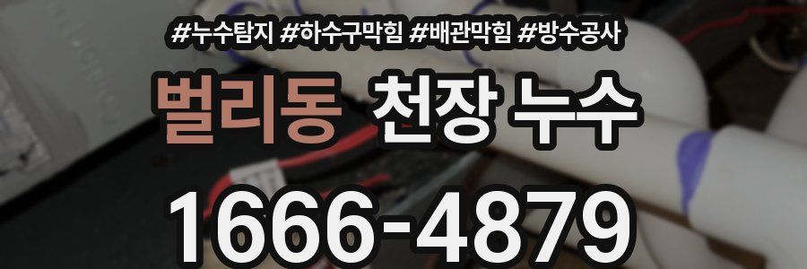 벌리동 천장 누수