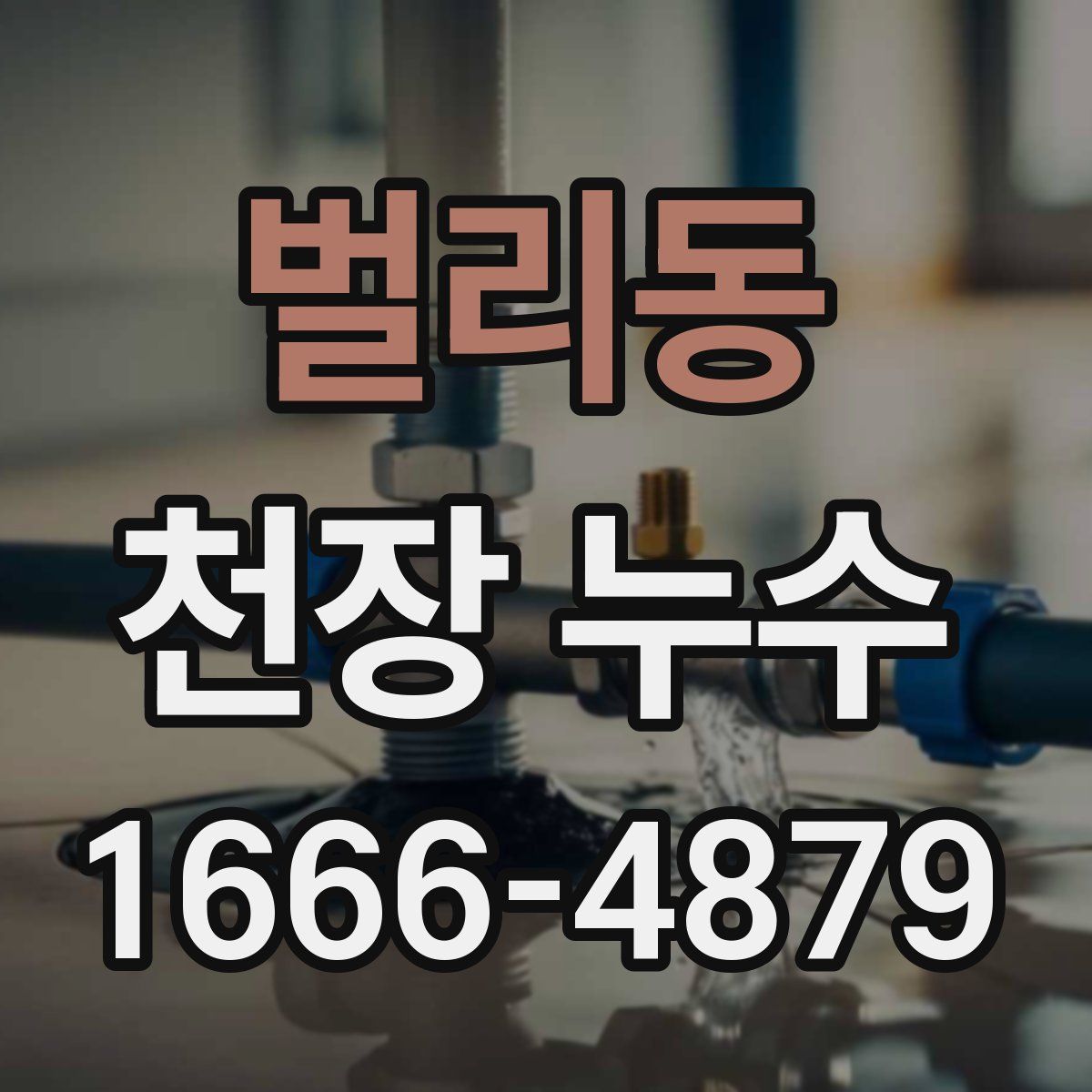 벌리동 천장 누수