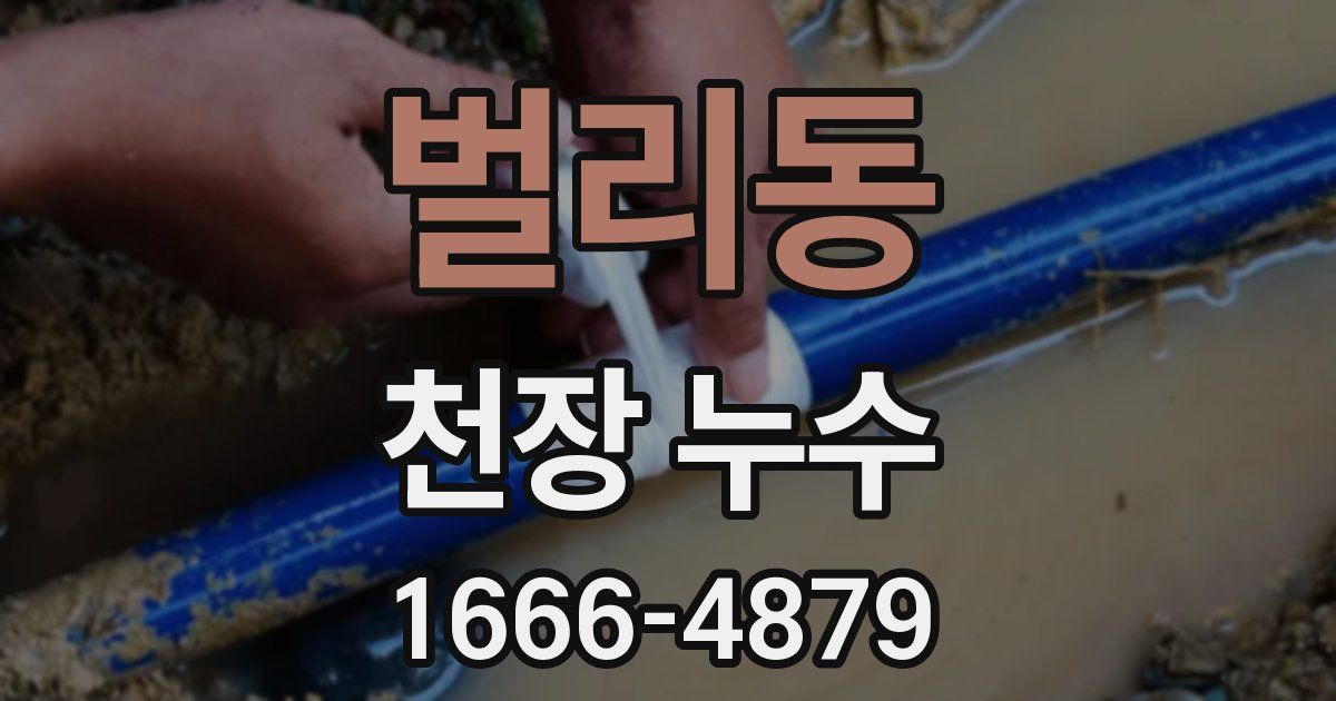 벌리동 천장 누수