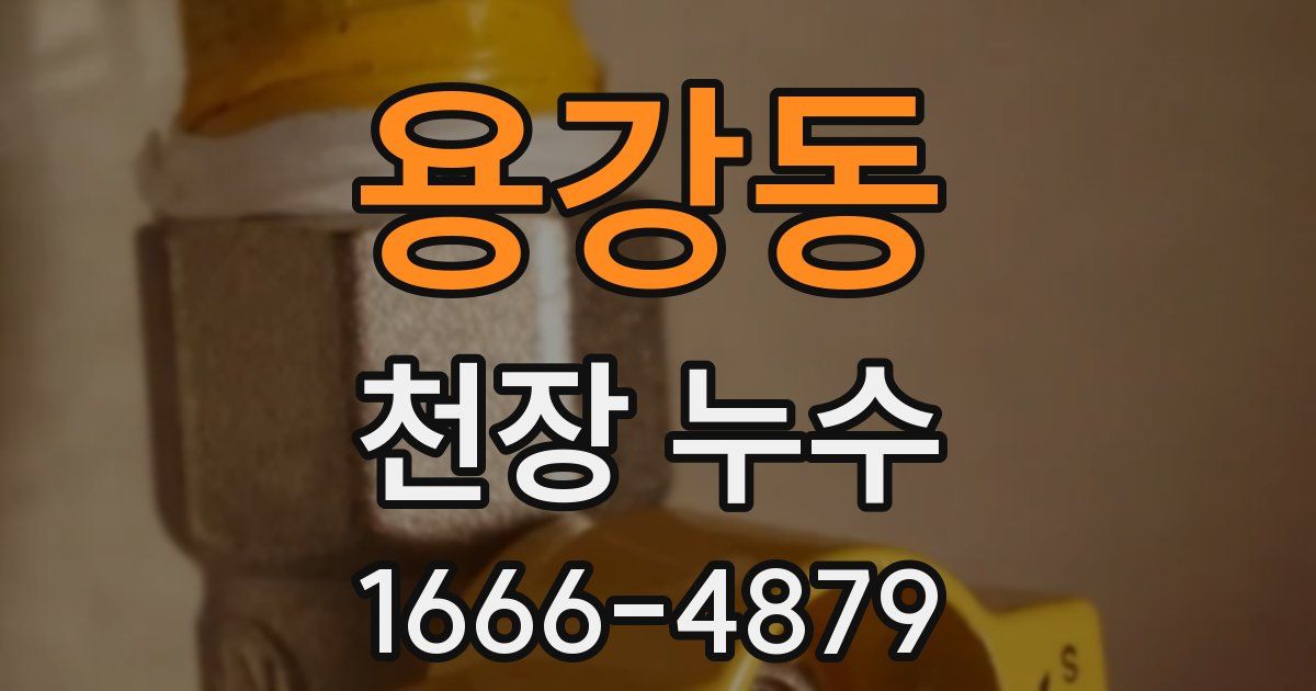 용강동 천장 누수