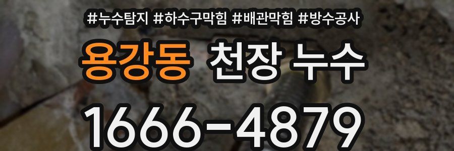 용강동 천장 누수