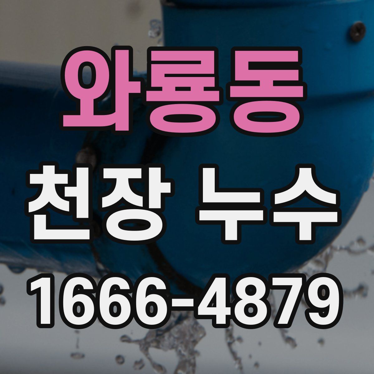 와룡동 천장 누수