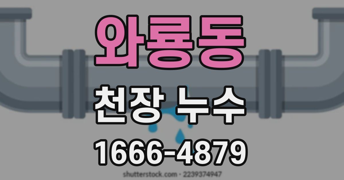 와룡동 천장 누수