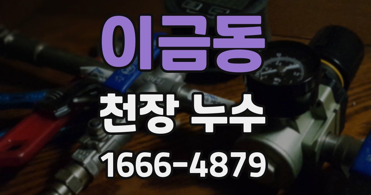 이금동 천장 누수