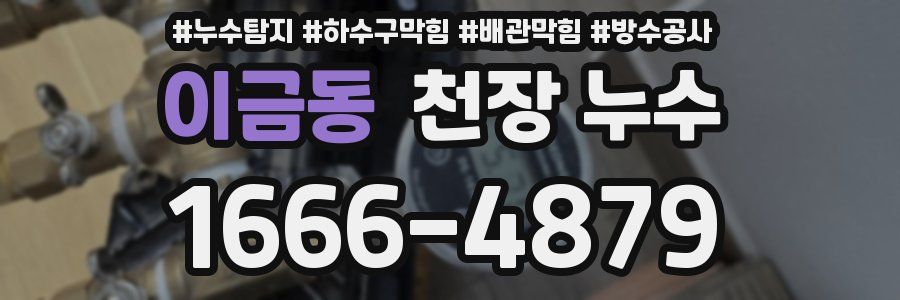 이금동 천장 누수