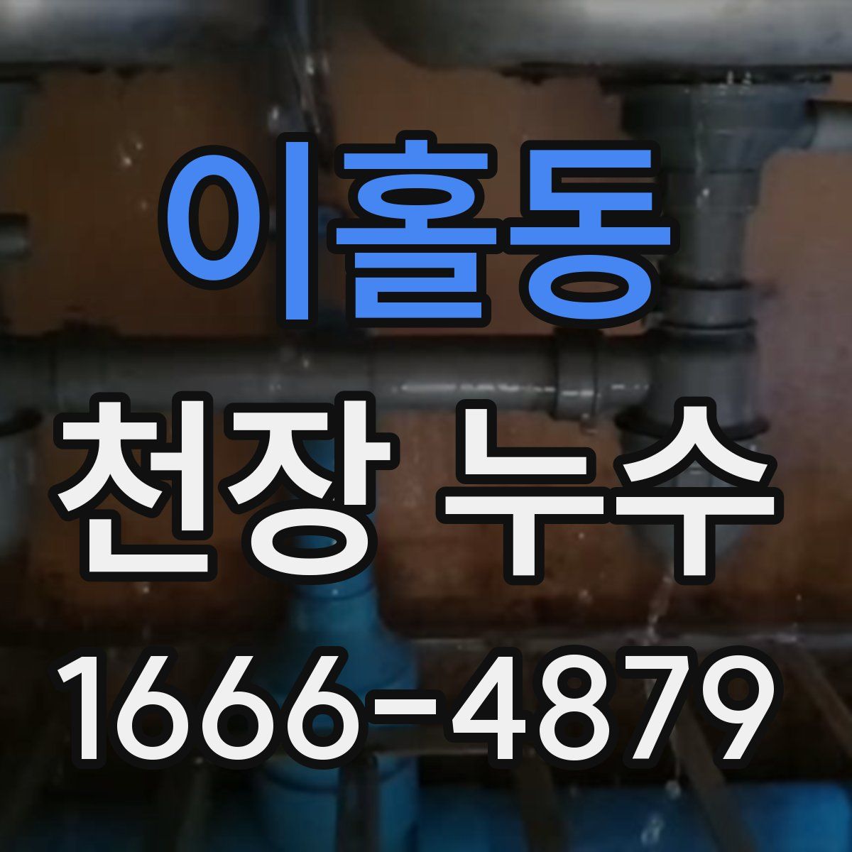 이홀동 천장 누수