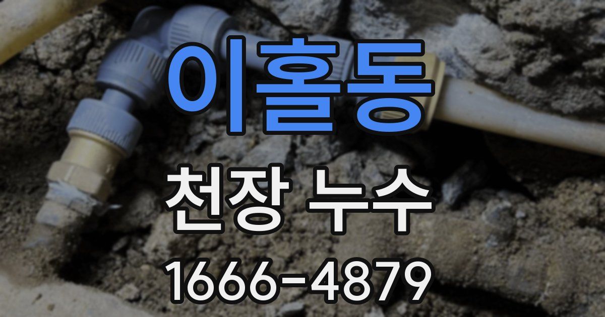 이홀동 천장 누수
