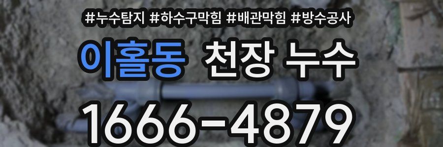 이홀동 천장 누수