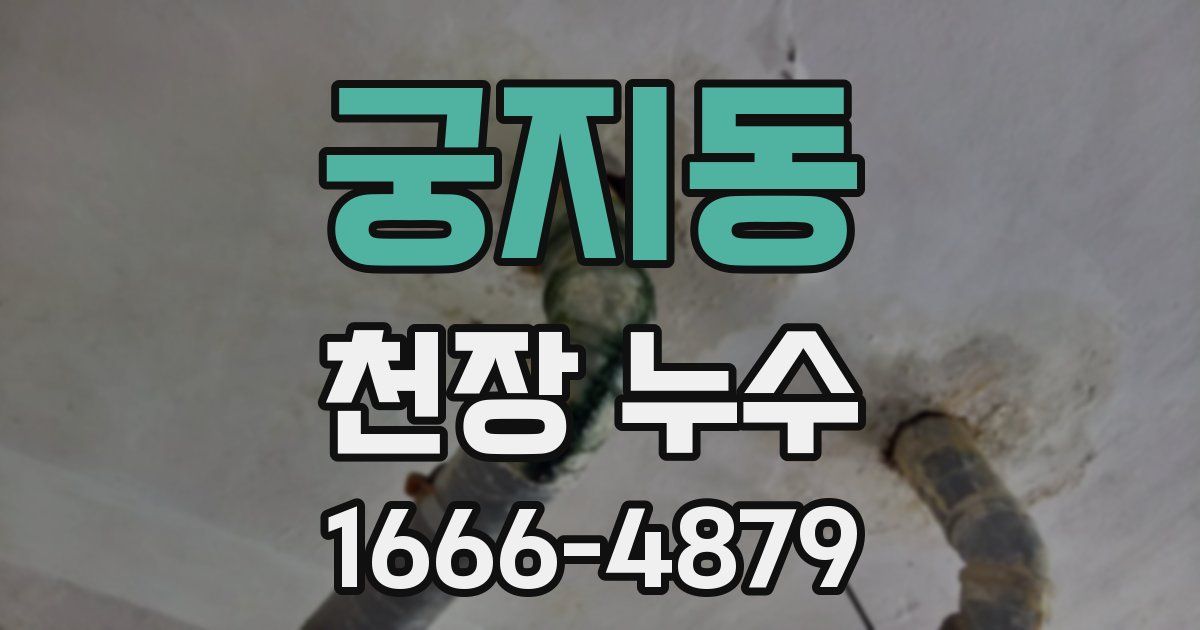 궁지동 천장 누수