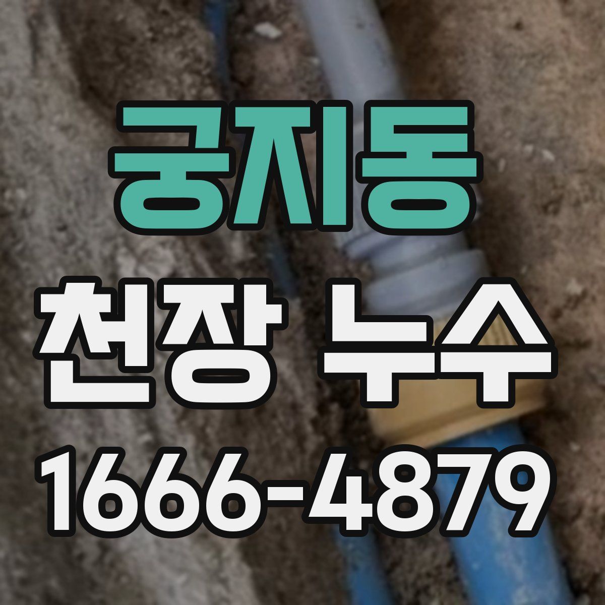 궁지동 천장 누수