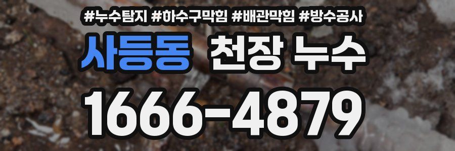 사등동 천장 누수