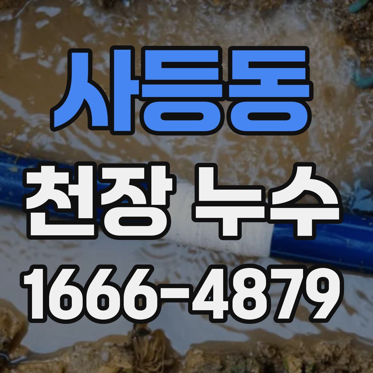 사등동 천장 누수