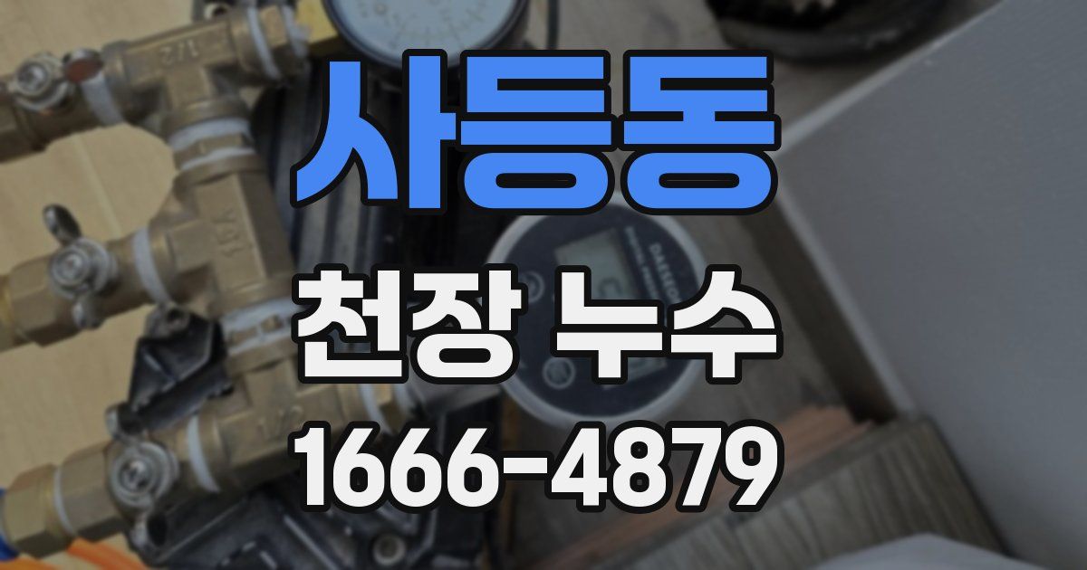 사등동 천장 누수