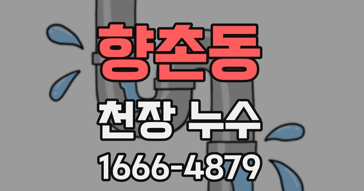 향촌동 천장 누수