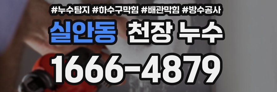 실안동 천장 누수
