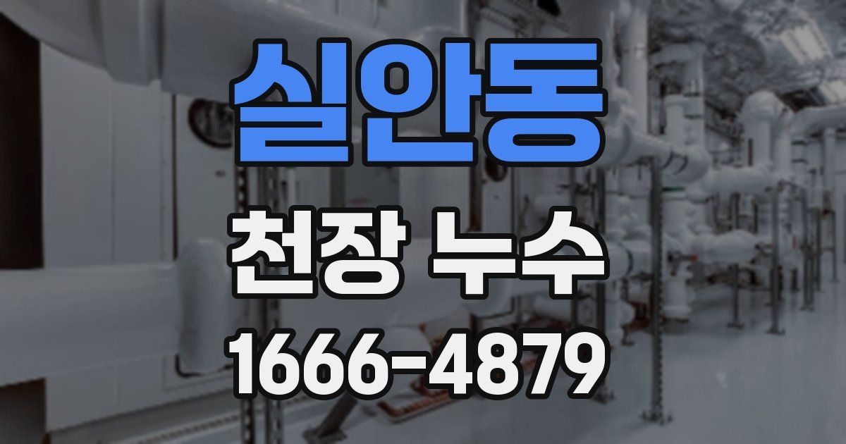 실안동 천장 누수