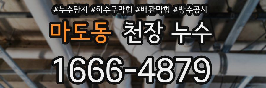 마도동 천장 누수