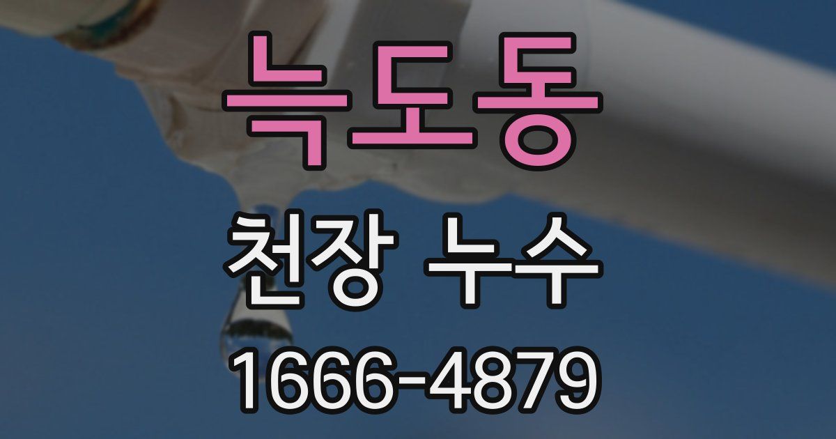 늑도동 천장 누수