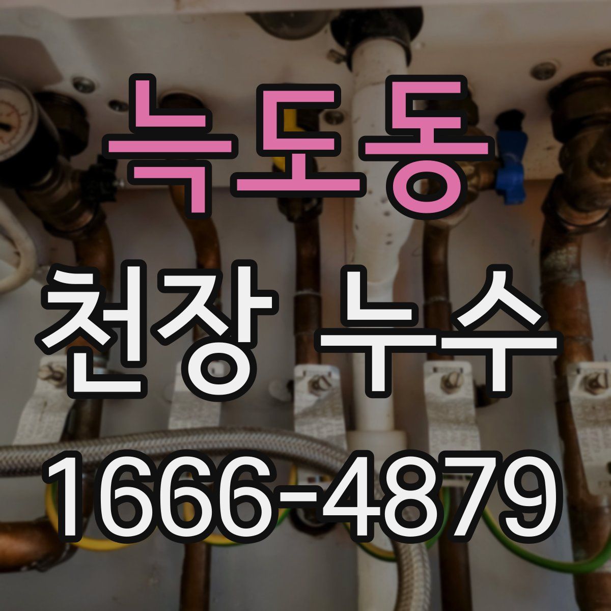 늑도동 천장 누수